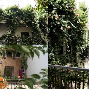 Riad Bougainvillea